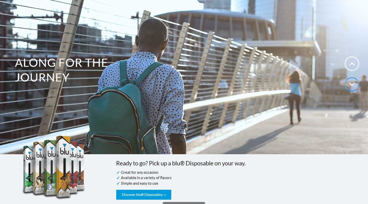 blu website hero: Along For The Journey